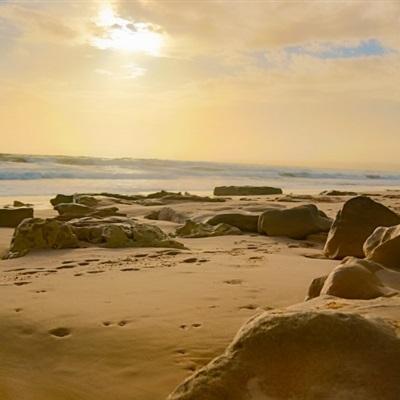 BOB·体育手机APP